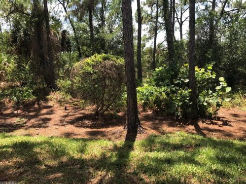 4161 Sawgrass Point Dr, Bonita Springs FL  34134-2938 exterior