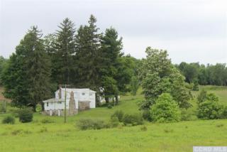 229 Kozlowski Rd, Taghkanic, NY 12523-1411