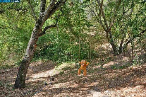 24 Tarabrook Dr, Orinda CA  94563-3121 exterior