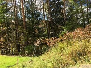 6432 Northwood Dr, Ellicottville, NY 14731-9623