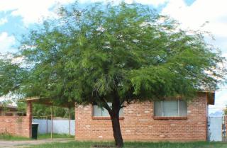 2951 24th St, Tucson, AZ 85713-2014