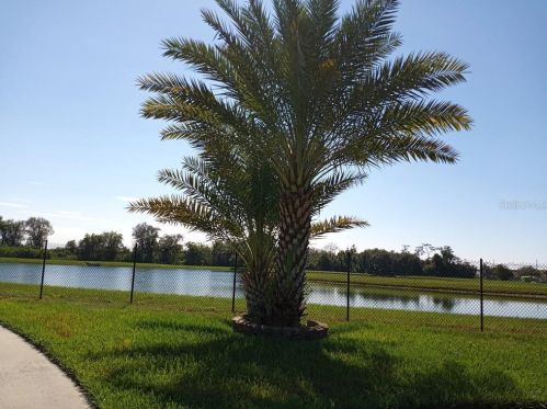 26 Sura Blvd, Orlando, FL 32809-6688
