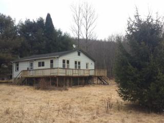 373 Buck Brook Rd, Roscoe, NY 12776-5628