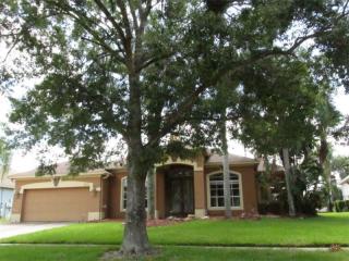 4017 Lillian Hall Ln, Orlando, FL 32812-8151