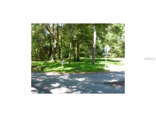 618 Brierfield Ct, Brooksville FL  34601-3609 exterior