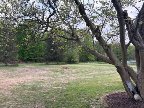 161 Fredonia Rd, Greenville PA  16125-7919 exterior