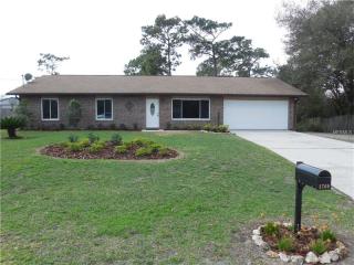 1769 Baldock Ct, Deltona, FL 32738-4174