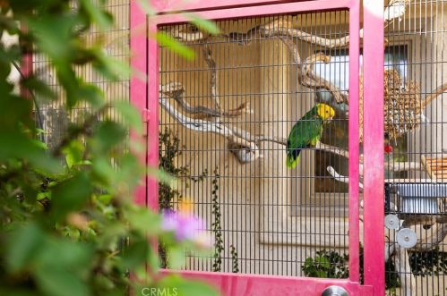 1836 Gamble Ln, Escondido CA  92029-4231 exterior