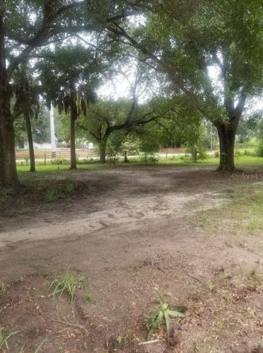 24250 Wolf Branch Rd, Mount Plymouth, FL 32776-9534