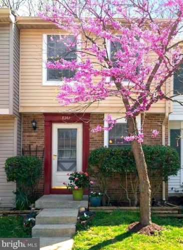 8341 Wind Fall Rd, Springfield, VA 22153-3862