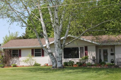 114 Elm St, Antigo, WI 54409-1336