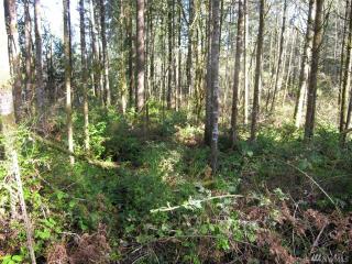 4810 Center Ln, Olympia, WA 98516-9217