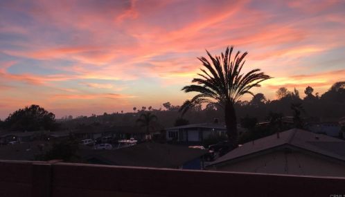244 Delphinium St, Encinitas, CA 92024-3303