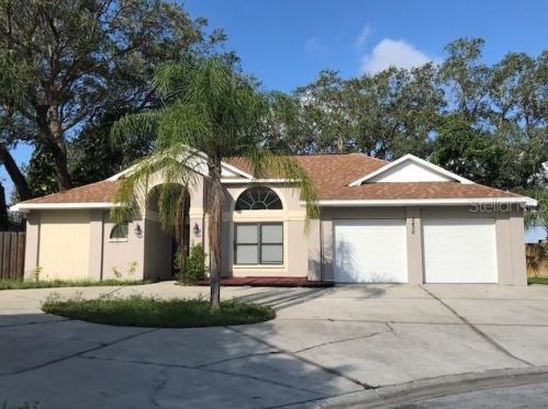 2436 Morning Glory Ct, Tarpon Springs, FL 34691-6801