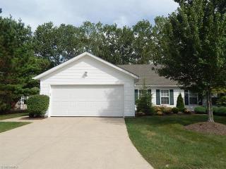 3895 Dartford Ln, Medina, OH 44256-7067