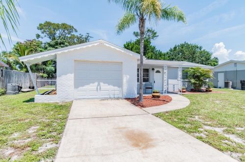 3249 Merita Dr, Tarpon Springs, FL 34691-5031