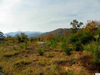 770 Park View Way, Gatlinburg, TN 37738