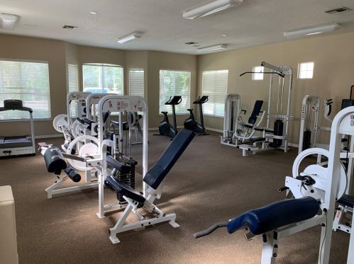 4209 Woodstorks Walk Way, Lutz FL  33558-2775 exterior