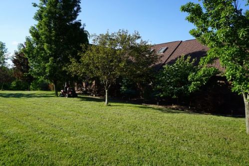 454 Glen Savage Rd, Glencoe, PA 15538-1728