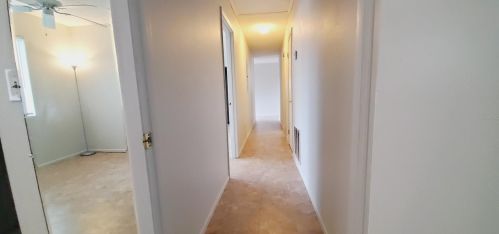 8519 158th St, Summerfield FL  34491-5573 exterior