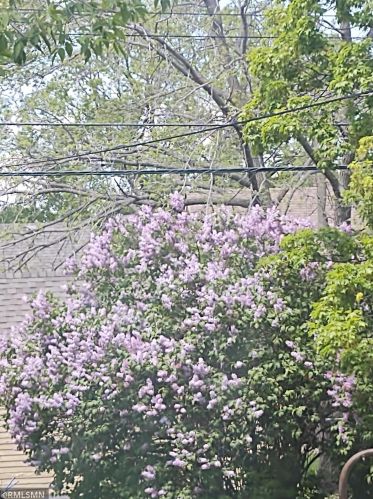 841 15th Ave, Saint Cloud MN 56303-2960 exterior