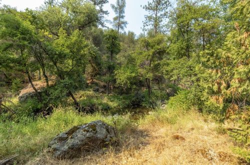 11552 Tom Ray Dr, Grass Valley CA  95949-9713 exterior