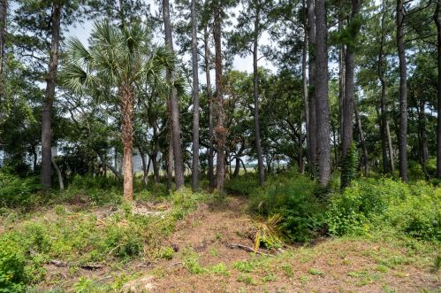 96 Salty Tide Cv, Mount Pleasant SC  29464-7925 exterior