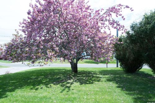 145 Budds Pond Rd, Southold NY  11971-1449 exterior