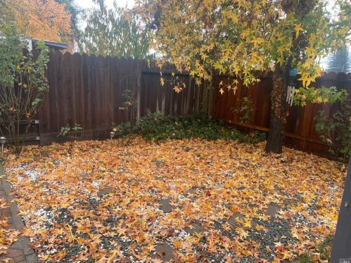 606 Summertree Ln, Santa Rosa CA  95403-1291 exterior