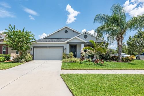 15303 Long Cypress Dr, Ruskin, FL 33573-0179