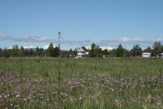 63120 Terry Dr, Bend, OR 97701-9437