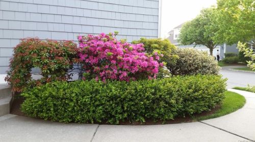 9 High Ridge Rd, Crotonville NY  10562-1969 exterior