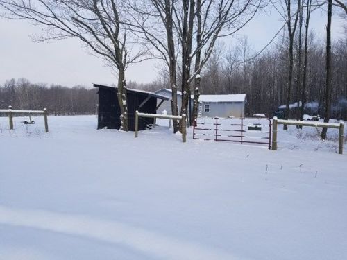 907 Judson Rd, Utica, PA 16362-3531