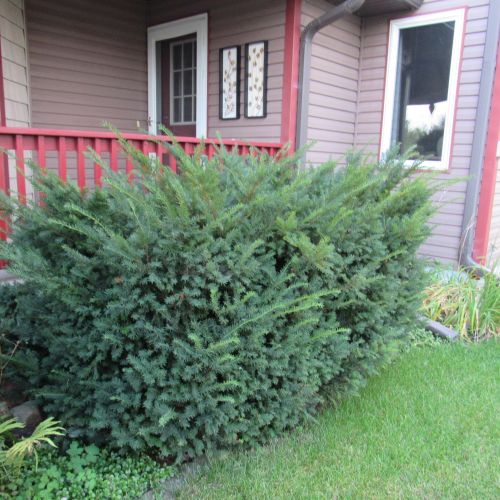 2410 Brogan Dr, Waterford MN  55057-3270 exterior