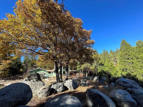 175 De Persia Dr, Portola, CA 96122-6504