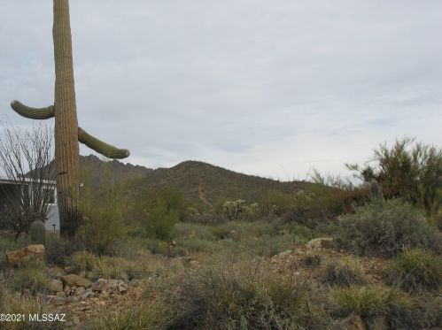 3441 Goldleaf Loop, Tucson, AZ 85735-9009