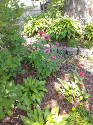 3031 17th Ave, Minneapolis, MN 55407-1818