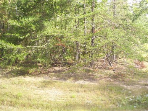 2304 Arrow Trl, Monterey, TN 38574-7273