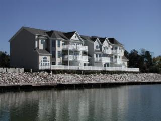 3231 Gazebo Point Way, Knoxville TN  37920-7330 exterior