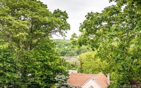 50 Ivy Hill Rd, Mahopac NY  10541-1208 exterior