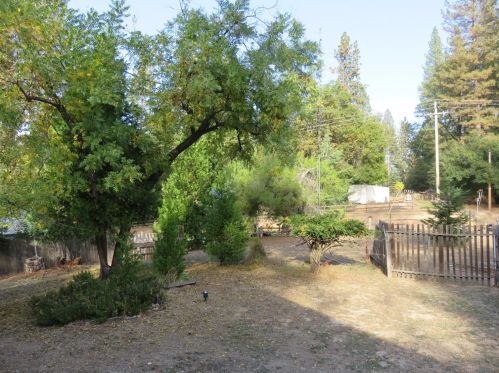 3695 Railroad Flat Rd, Wilseyville, CA