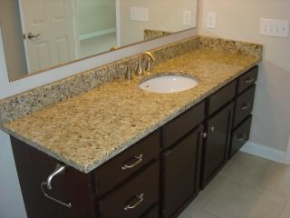 4852 Wellspring Ct, Dublin OH  43016-7842 exterior