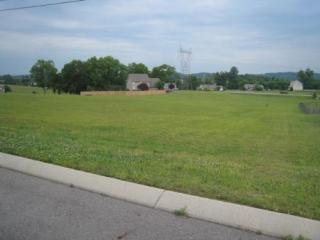 1208 Wiltshire Ct, Columbia, TN 38401-6794