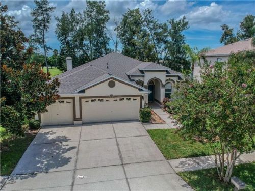 11020 Sailbrooke Dr, Riverview, FL 33579-4036