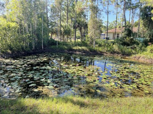 16360 78th Rd, Town Of Loxahatchee Groves FL  33470-5804 exterior