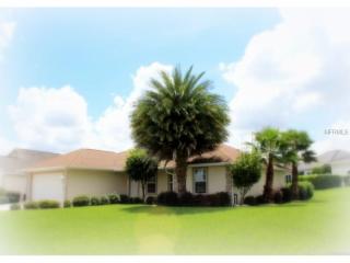 12379 176th Loop, Summerfield, FL 34491-8087