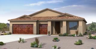 4350 Windsor Ranch Pl, Marana, AZ 85658-4756