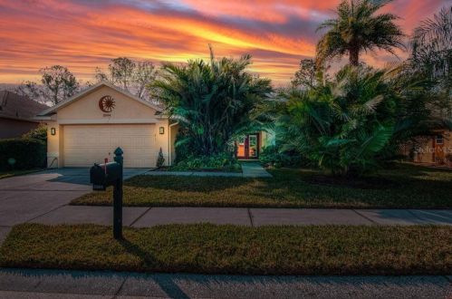 21104 Tangor Rd, Land O Lakes, FL 34637-7518