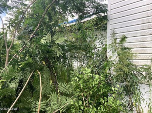7213 Shady Grove Rd, Grand Ridge, FL 32442-3775