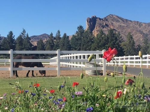 7690 33rd St, Eagle Crest, OR 97756-8766